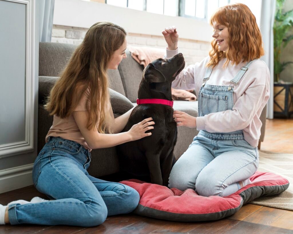 Cuidados Básicos com a Saúde do Pet: Um Guia para Tutores Iniciantes